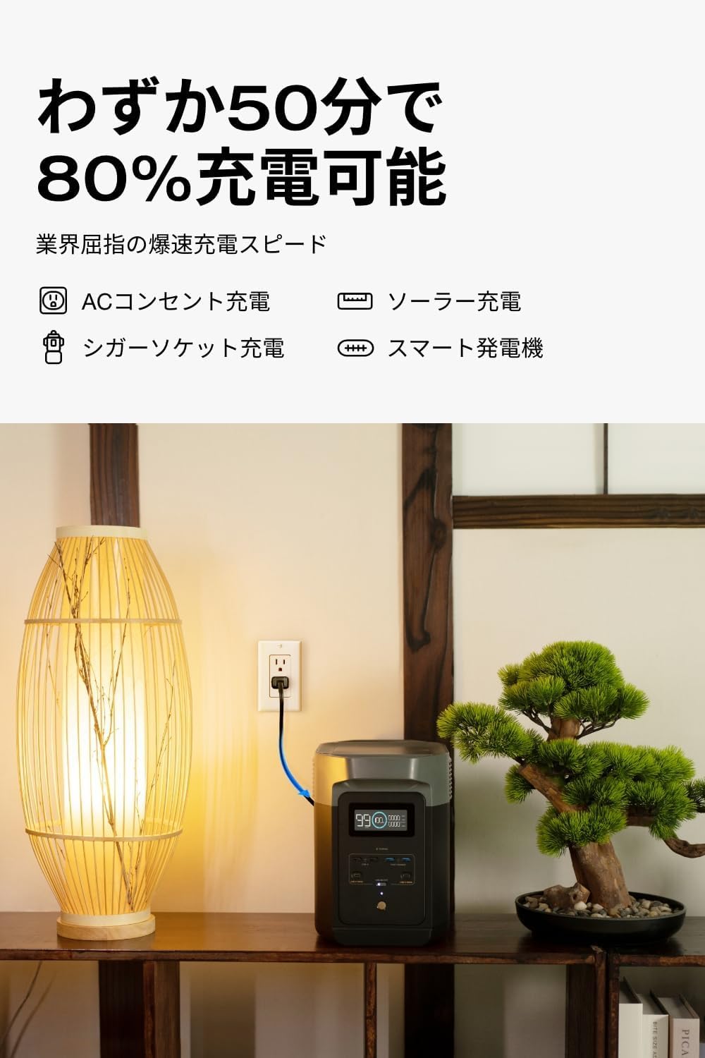 Amazon.co.jp: EcoFlow ポータブル電源 DELTA 2 1枚160Wソーラー 
