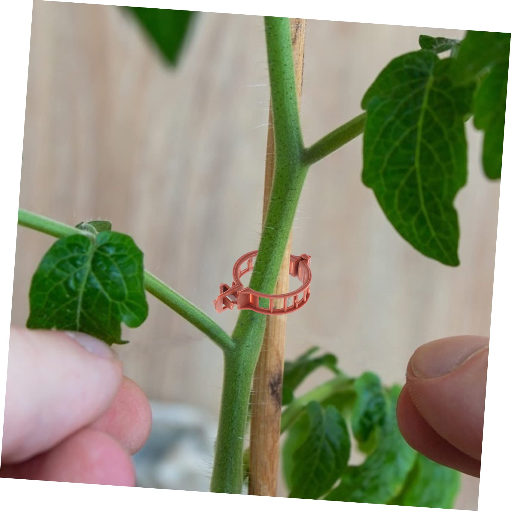 TOYANDONA 400pezzi Clip per Clips per Giardinaggio per Cetrioli e Rampicanti Protezione per Fusti e Sostenibile