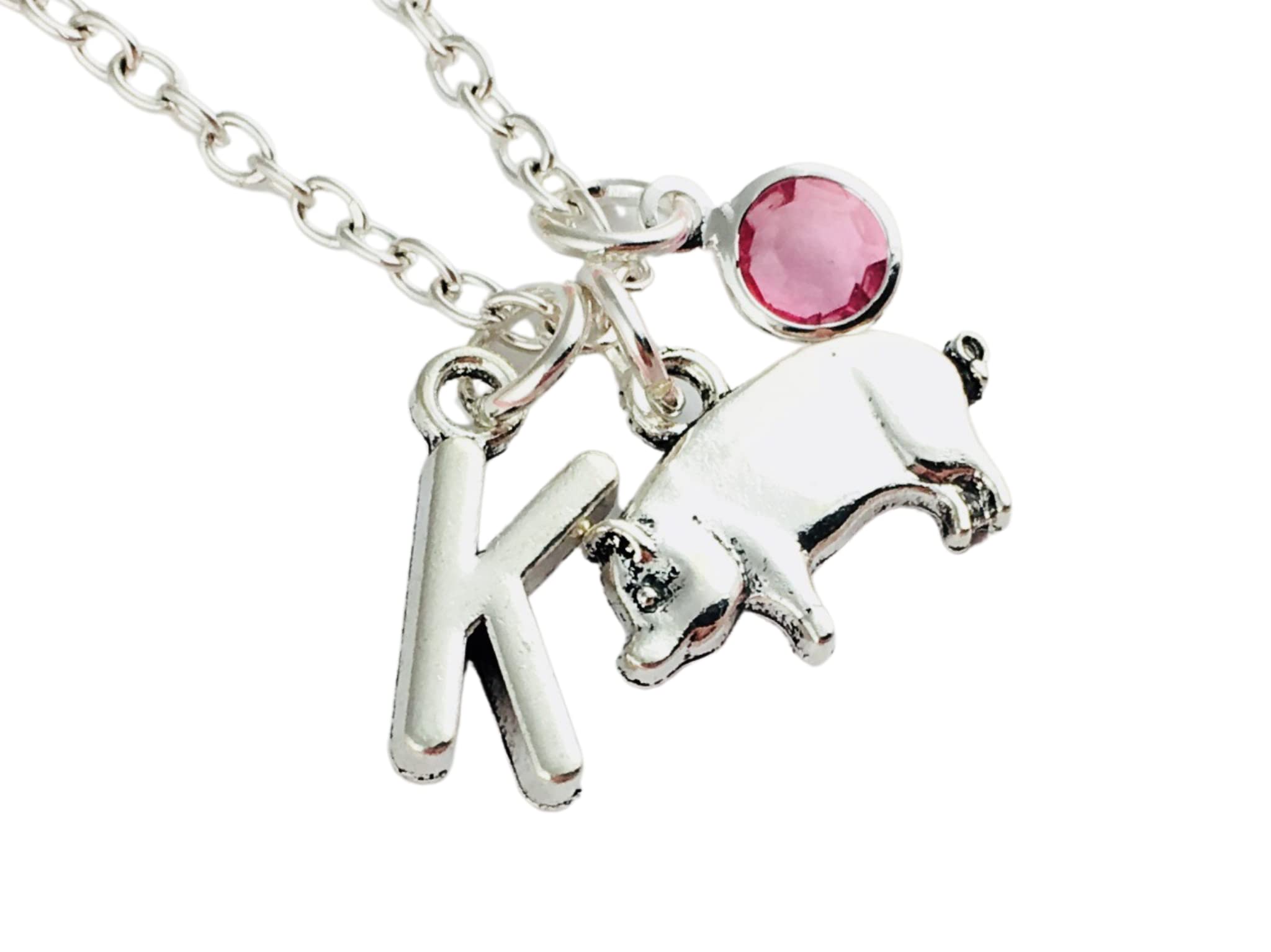Personalised Pig Necklace, initial charm and birthstone crystal, silver plated or sterling silver, animal lover gift, nature jewellery, farm vet nurse veterinary biology quirky birthday sister brother