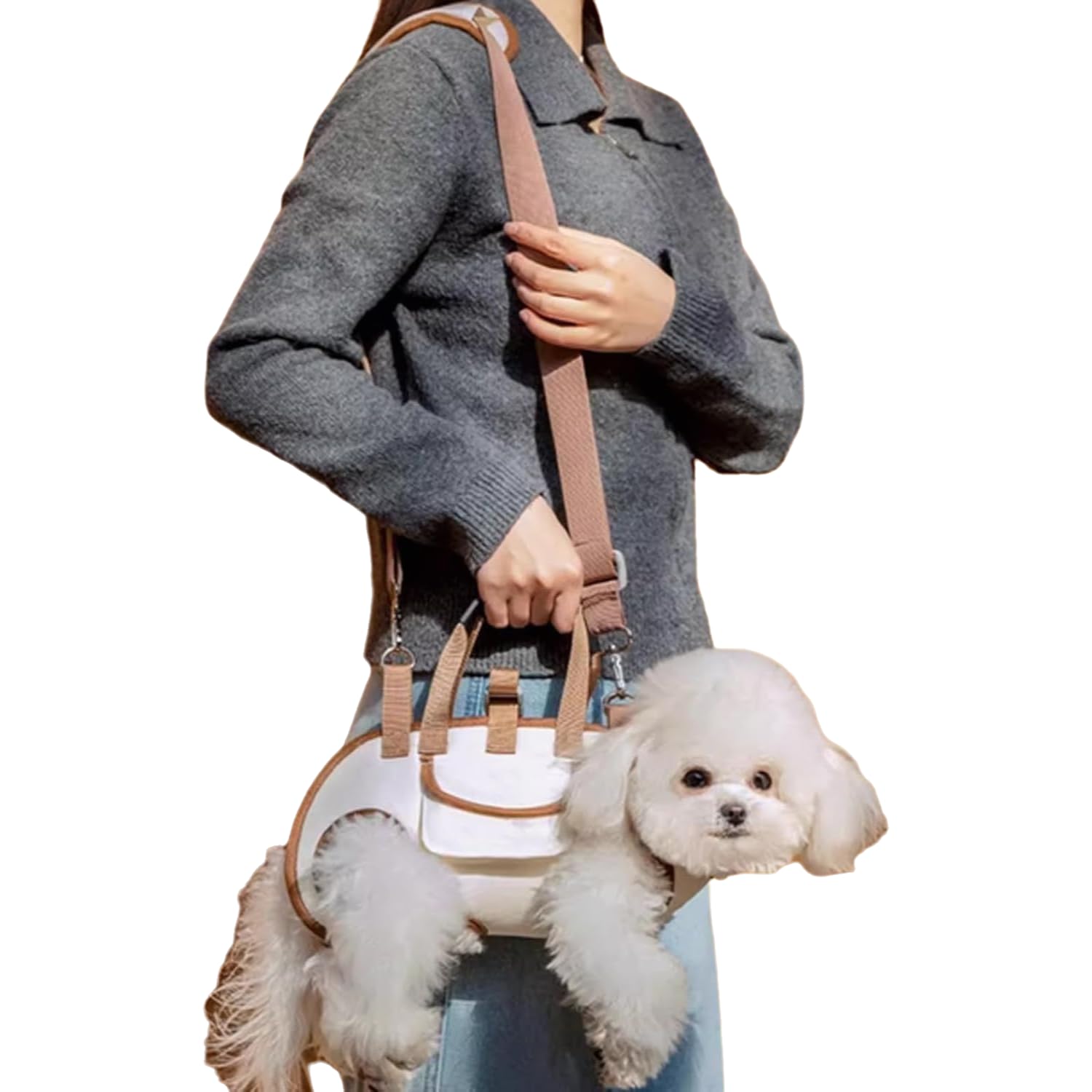 Harnais de levage pour chien, sangle de transport réglable pour chats de petite et moyenne taille, sac de transport portable pour extérieur, sangle d'assistance pour chien pour personnes âgées