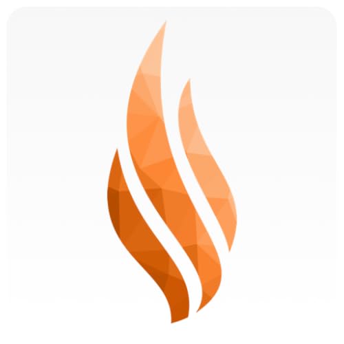 Word on Fire Digital