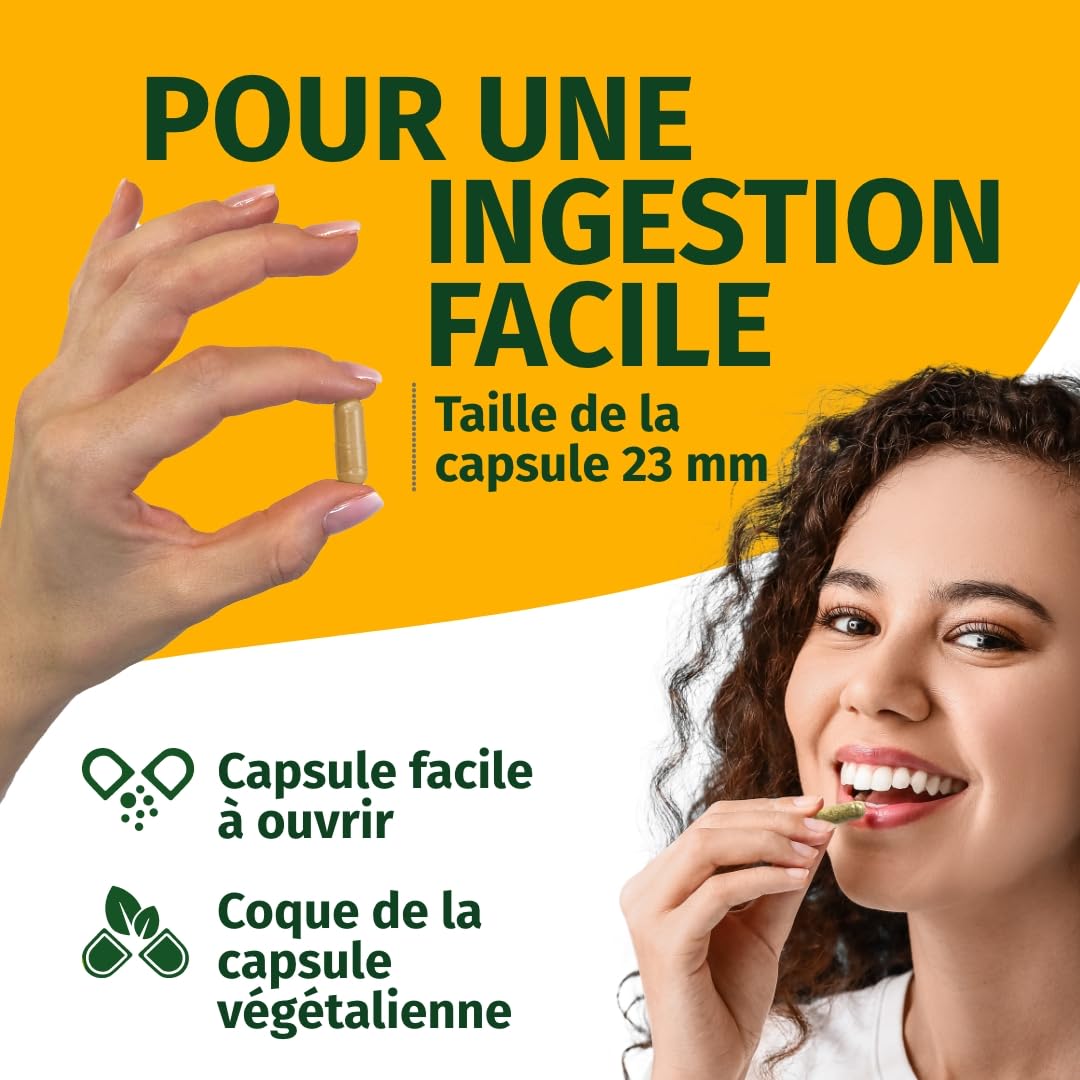 Spermidine Forte – Hautement dosé : 6 mg par capsule d'extrait de germe de blé – Testé en laboratoire – 120 gélules Green Naturals®