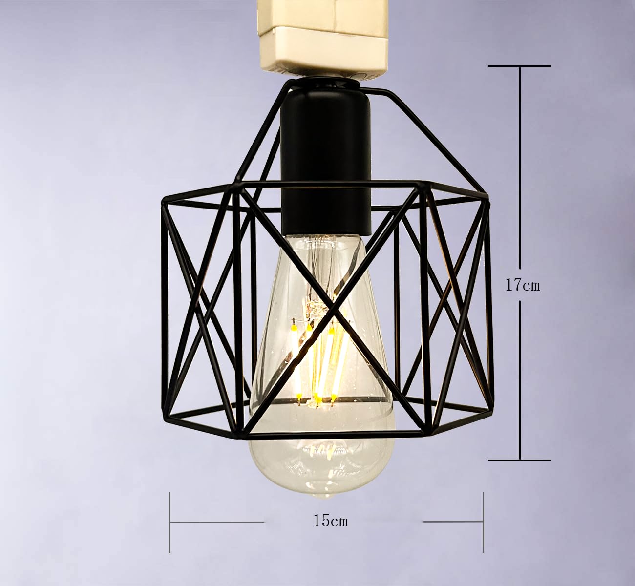 Amazon.co.jp : KY LEE シーリングライト 1灯 北欧 工業風 鉄芸