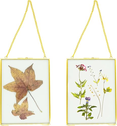 ToaDolce - Marcos para flores prensadas 2 marcos de fotos de vidrio colgantes de 6 x 8 pulgadas marco de vidrio doble marcos para colgar en la pared