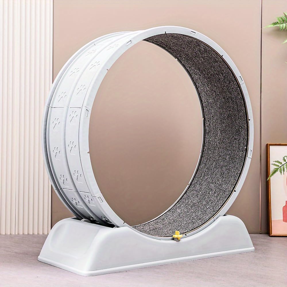 Cat Running Exercise Wheel Tapis roulant, giocattolo di addestramento per gatti ultra silenzioso con meccanismo di bloccaggio, pista con moquette rimovibile per correre e graffiare (Grigio)