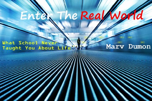 Enter The Real World: What School Never Taught You About