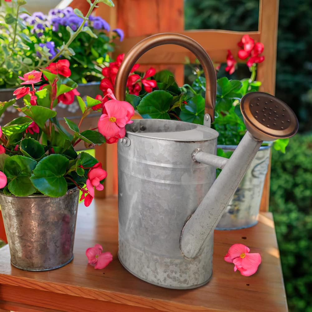 Condition photo showing New/Like New for 1 gallon metal watering can with removable spout, nice galvanized steel water can with embossed design for indoor and outdoor plants silver