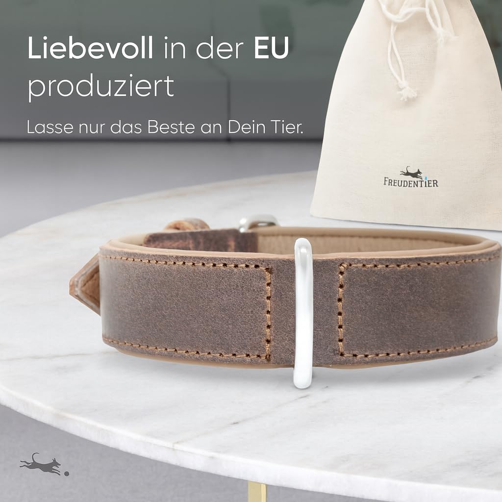 FREUDENTIER Hundehalsband aus Leder, Made in Holland, gefüttert & super komfortabel, hochwertiges breites Lederhalsband aus Vollnarbenleder, Model “Amstelpark” (47-57cm Halsumfang, Dark Chocolate)