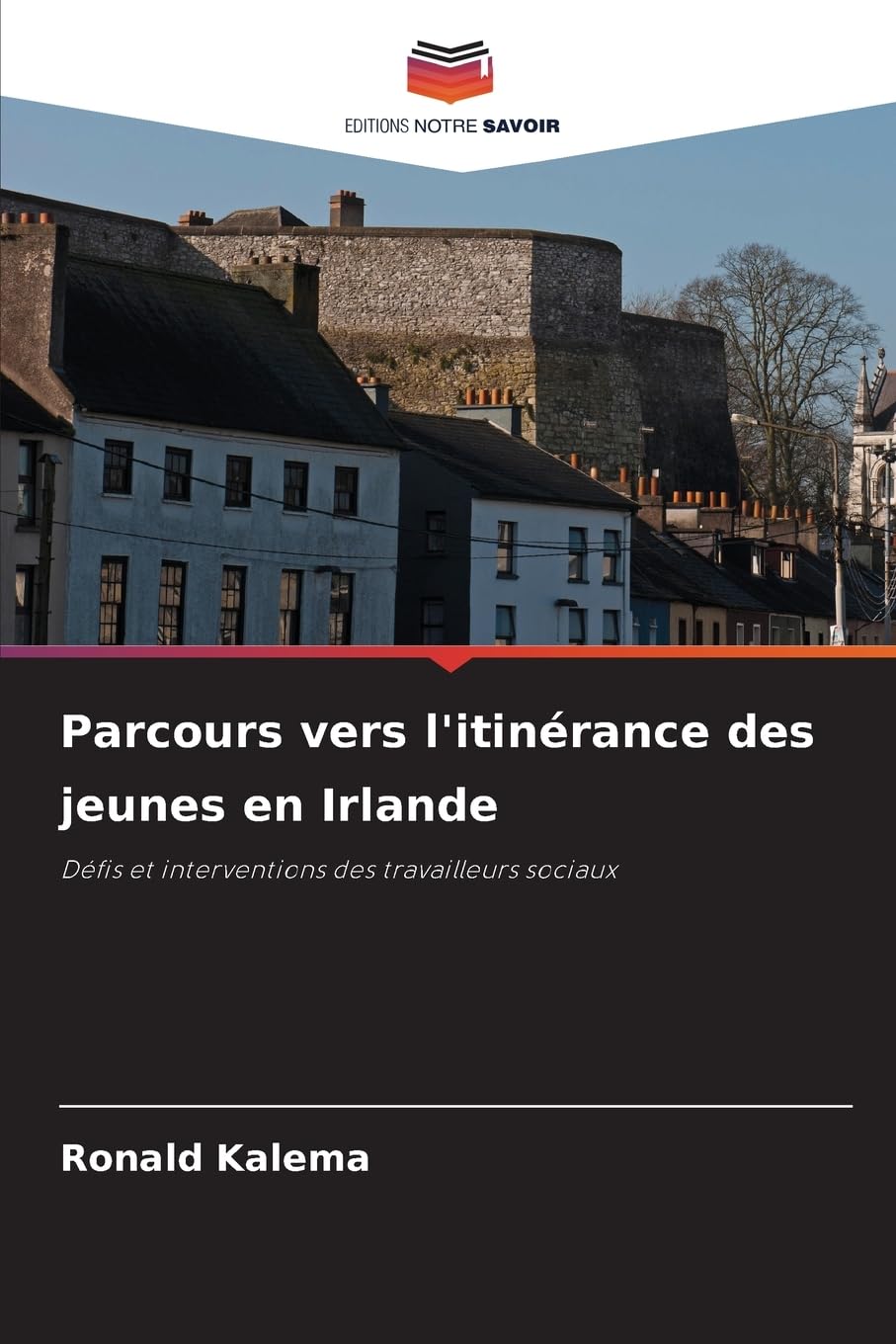 Parcours vers l'itinérance des jeunes en Irlande: Défis et interventions des travailleurs sociaux
