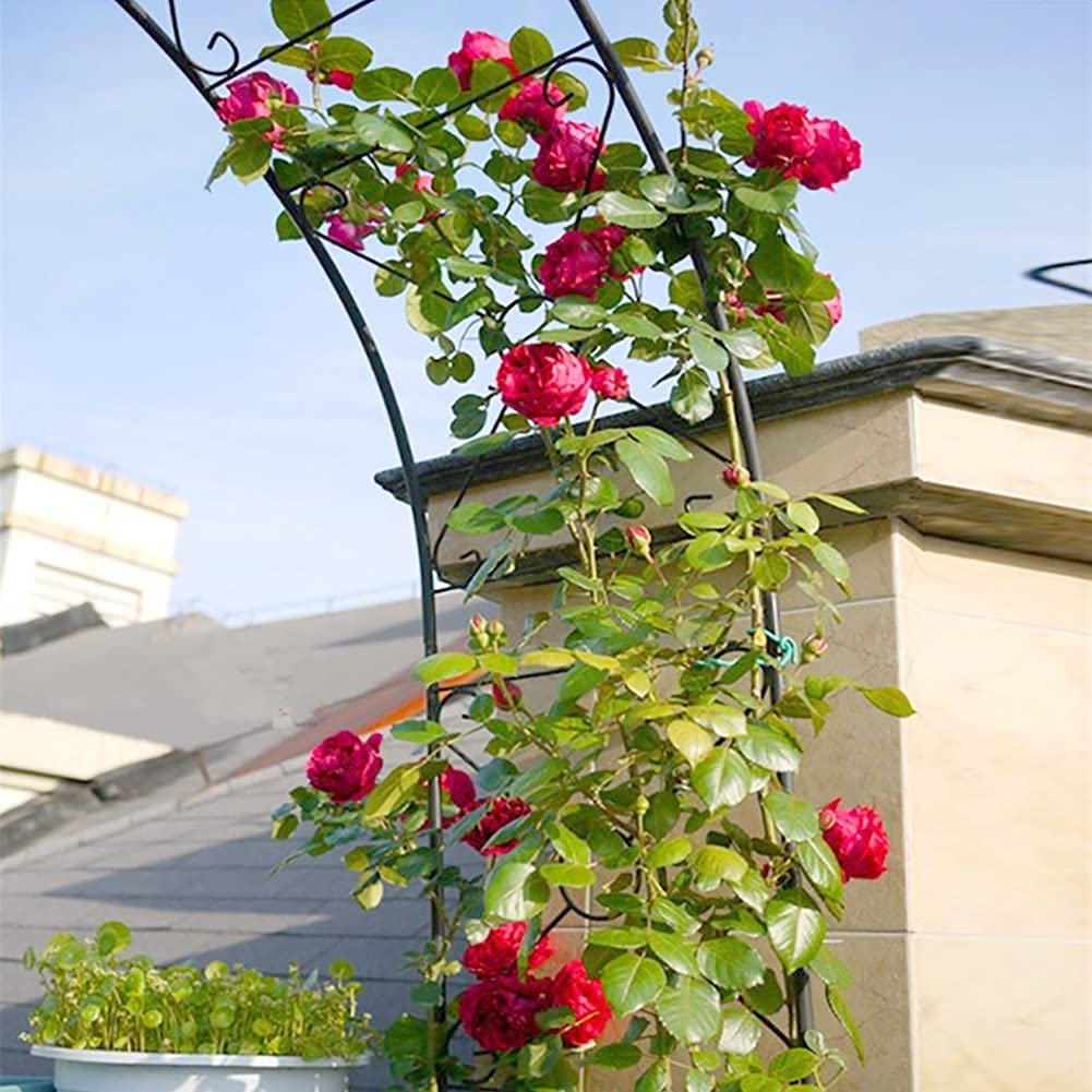 Łuk ogrodowy, krata, metalowa pergola do roślin pnących, dekoracja ślubna, łatwy montaż, czarna, 1,4 x 2,3 m, idealna do przestrzeni na zewnątrz i na imprezy