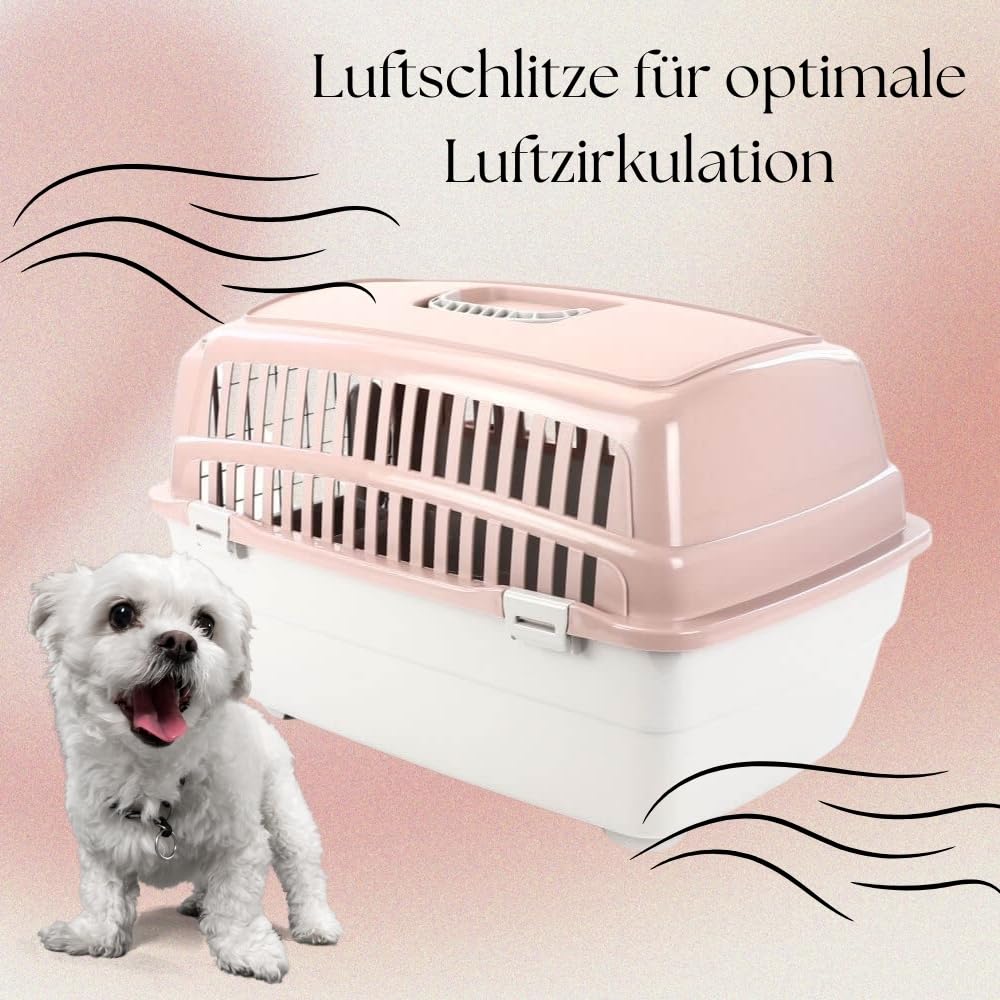 2er Set Transportbox IATA Flugbox Flugzeug Hundebox Hunde Transportbox Katze Groß für 2 Tiertransportbox Katzentransportbox Gr. M