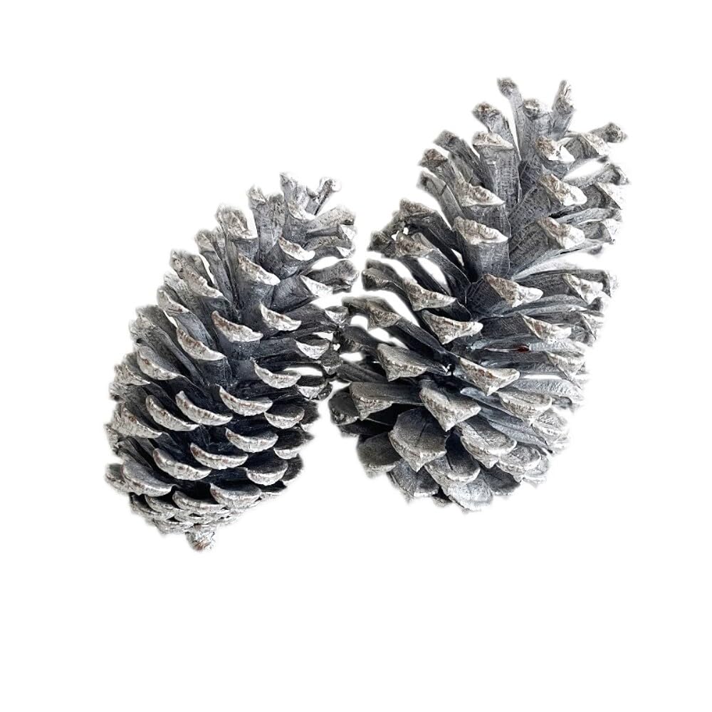 24 Stück 9-12cm Weihnachts Kiefernkegel,Pine Cones Dekoration Zapfen,Natürliche Tannenzapfen Kiefernzapfen für Adventskranz Tischdeko Christbaumschmuck Winterdekoration,Silber A
