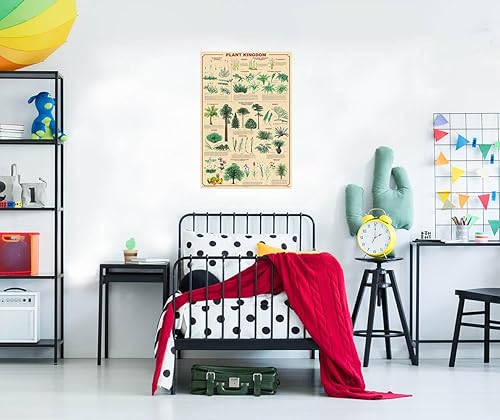 Miniatura 2 de Póster del reino animal