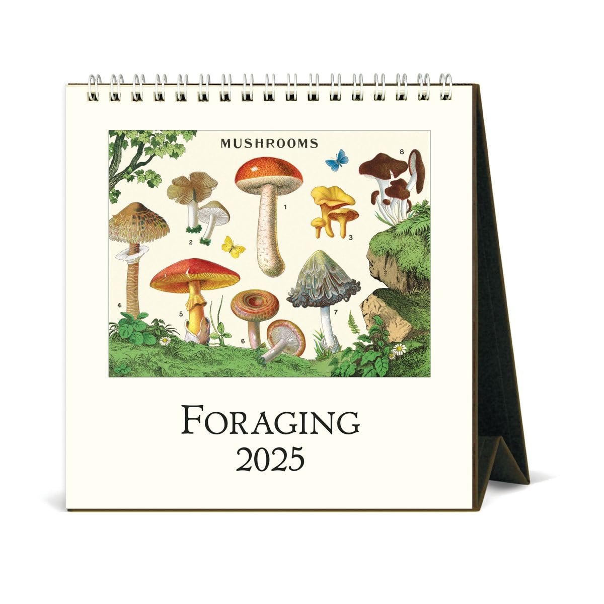 amazon-com-cavallini-2025-vintage-foraging-easel-desk-calendar-6-x-6-5-inches-12-month-page-a-month-standing-desk-calendar-vintage-style-illustrations-small-and-cute-desktop-flip-calendar-2025-office-products