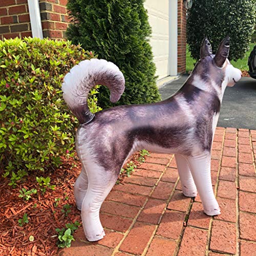 Jet Creations Inflatable Husky Dog Alaskan Pet Animal 32 Inch Long For Party Decoration Gift Stuffed Animals Pool Toy An-Husky, Multi #TOP2
