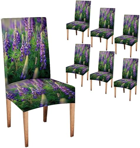 Miniatura 33 de CAPSCEOLL Fundas para Sillas De Comedor 4, Funda elástica para silla de comedor, lavable de elastano, fundas para sillas Parsons de cocina, Fundas