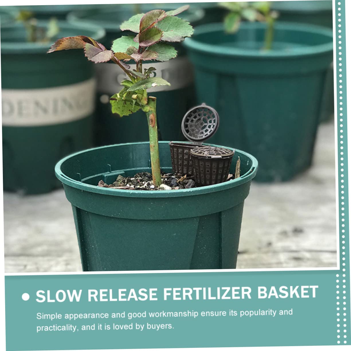 POPETPOP 150pièces Boîtes De Fertilisation Avec Couvercle Conteneurs Réutilisables Pour Engrais De Bonsai Et Plantes
