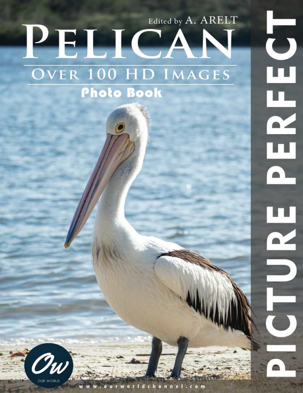 Pelican: Picture Perfect Photo Book