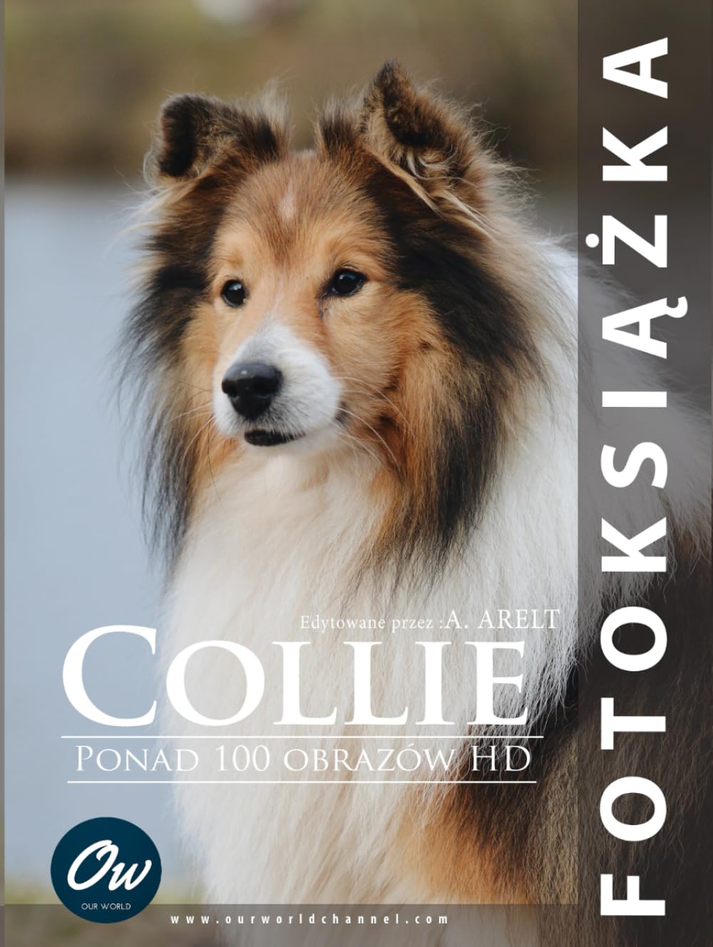 Livre photo Collie créez un recueil d'émotions et de moments précieux en famille