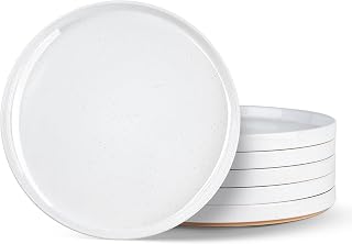 AmorArc Ceramic Dinner Plates Set of 6,10.0 Inch Matte Stoneware Plates Set | Handmade Modern Flat Dinnerware Dishes Set,Microwave& Dishwasher Safe,Scratch Resistant