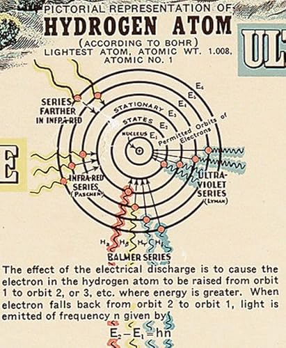 Atomised - Michael Houellebecq (1998)