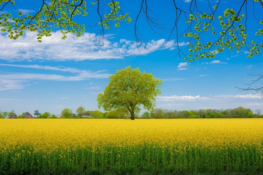 1000 elementów drewnianych puzzli dla dorosłych, kwiaty polne, krajobraz, trudne, duże puzzle, karton premium, zabawka DIY, edukacyjna gra rodzinna dla dorosłych, młodzieży i dzieci