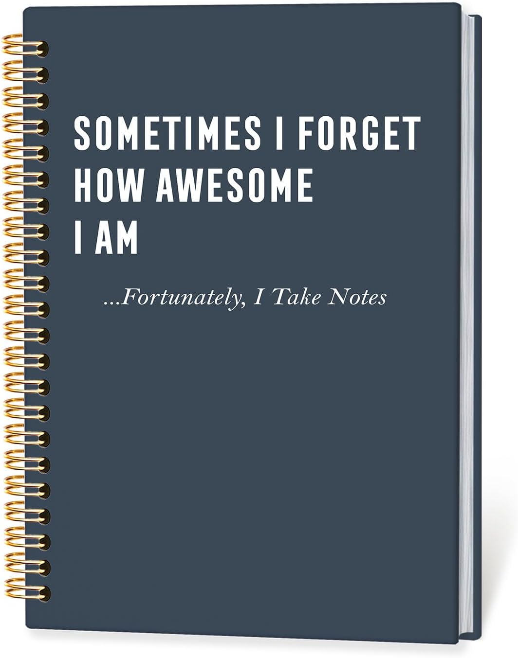 Funny Spiral Notebooks Journal for Work,Funny Work Office Gifts,A5