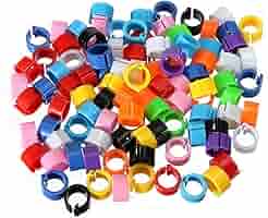 Pack Of 100 Pcs ,Bird Rings Multicolor Colorfu Leg Bands For Pigeon Parrot Finch Canary Hatch Chicks Bantam Poultry Bayonet