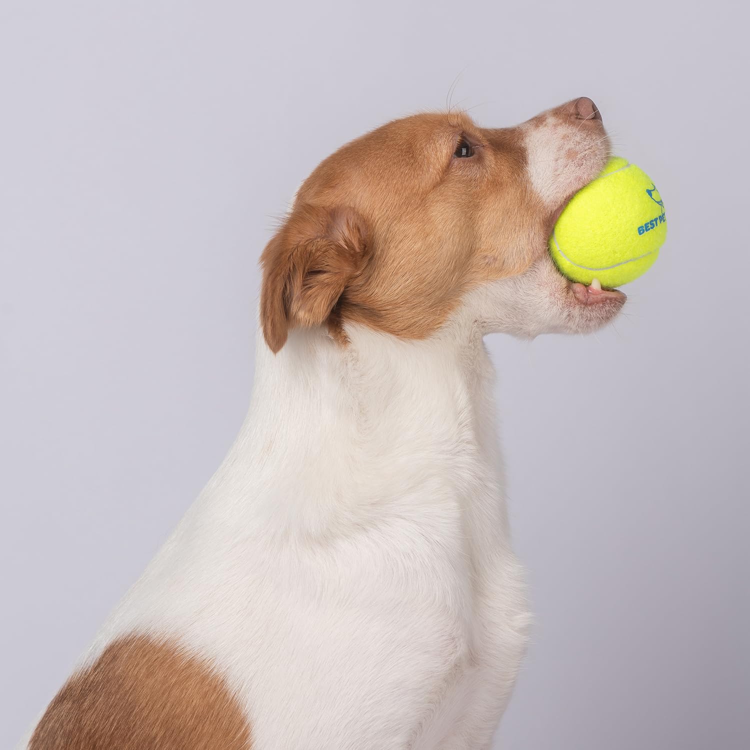 Best Pet Supplies Piszczące zabawki tenisowe dla psów, 4-pak, wytrzymałe, interaktywne zabawki dla zwierząt domowych do rzucania i przywozu, wspomagające ćwiczenia i trening naturalnych zachowań