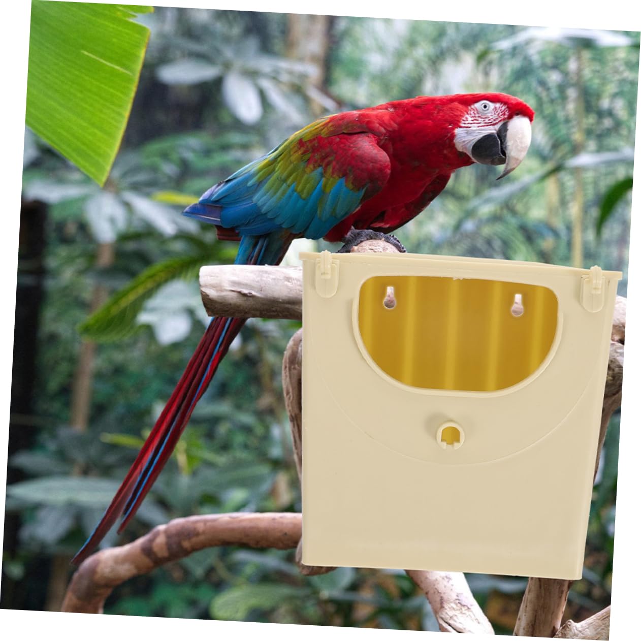 Sosoport 5pezzi per per Allevamento Pappagalli per Piccole Casa per Facile Habitat per Parrocchetti