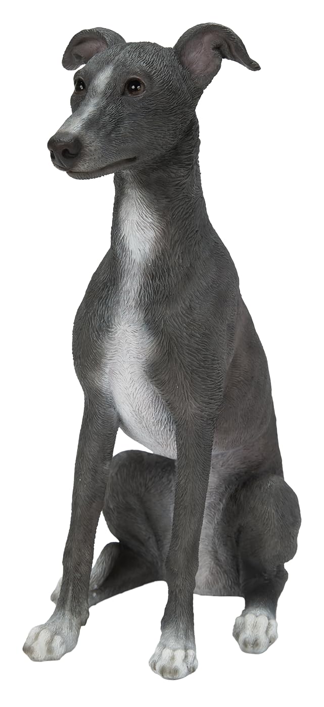 Vivid Arts Multicolor - Realistic Whippet Blue/White - Xrl-Whp2-D
