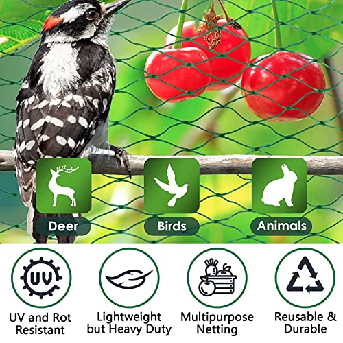 4m x 5m Vogelnetz Vogelschutznetz engmaschig (15x15mm) Robust, witterungs- & UV-beständig grün, Kirschbaum Netz feinmaschig Laubnetz Teichnetz Obstbaumnetz Taubennetz Gartennetz Balkon Netz