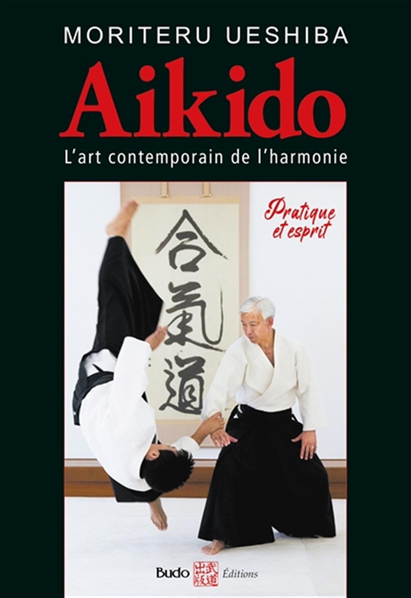 Aïkido l'art martial contemporain de l'harmonie: Pratique et esprit