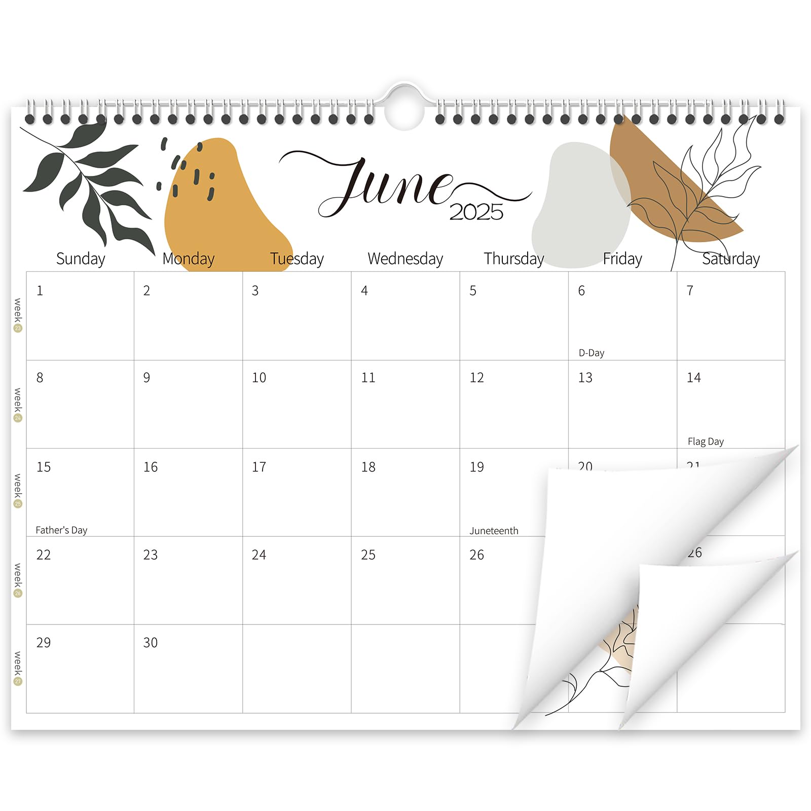 Guasslee Wall Calendar 2025-2026, 2025 Calendar Wall, 19-Month Planner Wall, 2025 Jun - 2026 Dec, 14" X 11" Monthly Calendar Spiral Bound with Thick Paper, Week Numbers for School Year Home Office