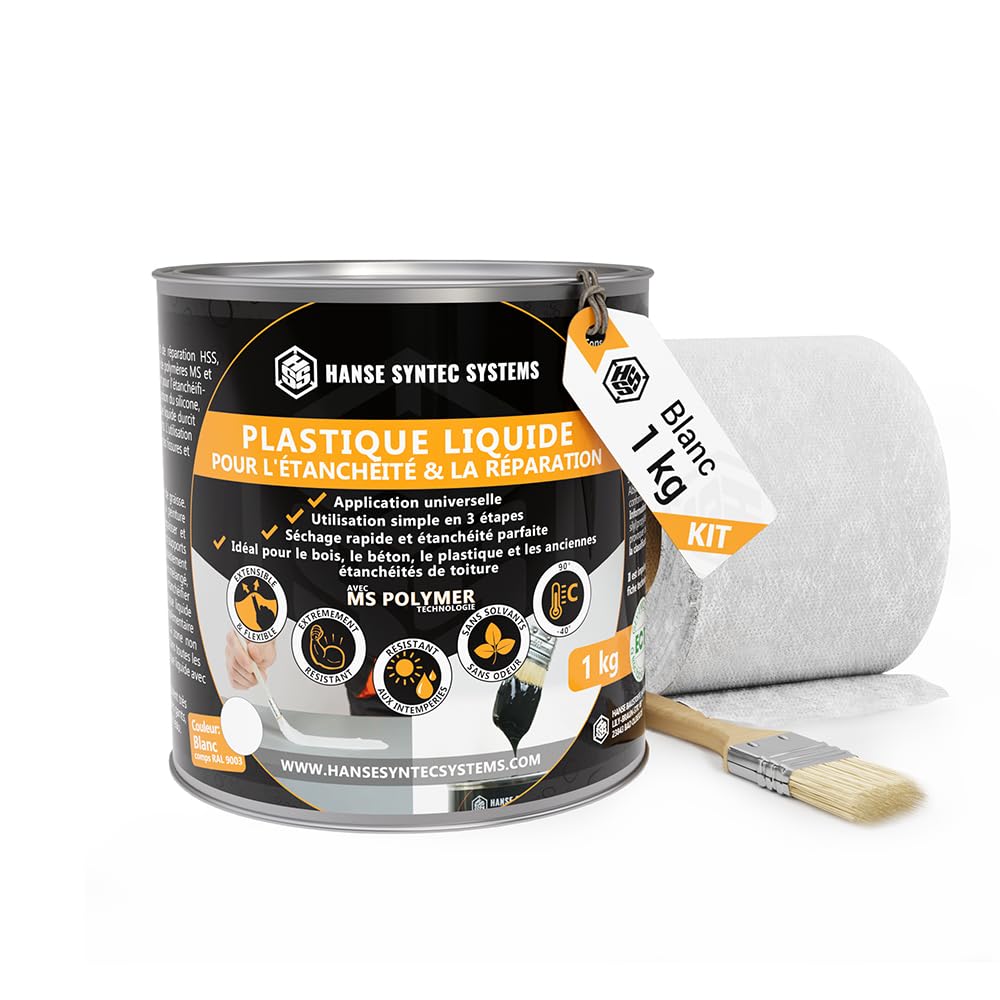 HSS - Kit de impermeabilización para techos, membrana líquida, cepillo y no tejido (blanco, 1 kg)