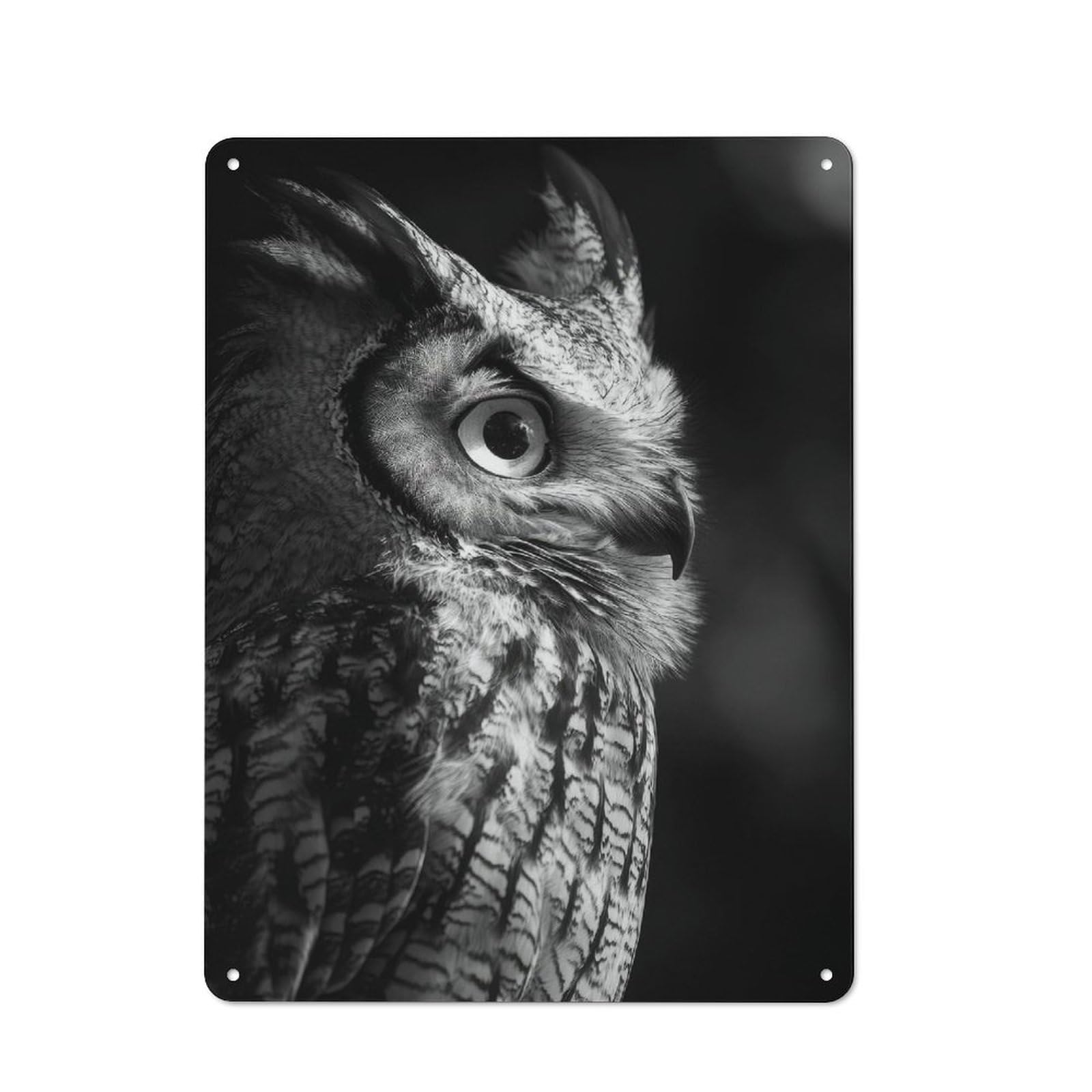 Junmoney Style-23 Owl Portrait In Black And White Rustic Tin Wall Plaque 40X30cm For Hobby Room Or Studio, A New Home Present For Creative Interior Collectors