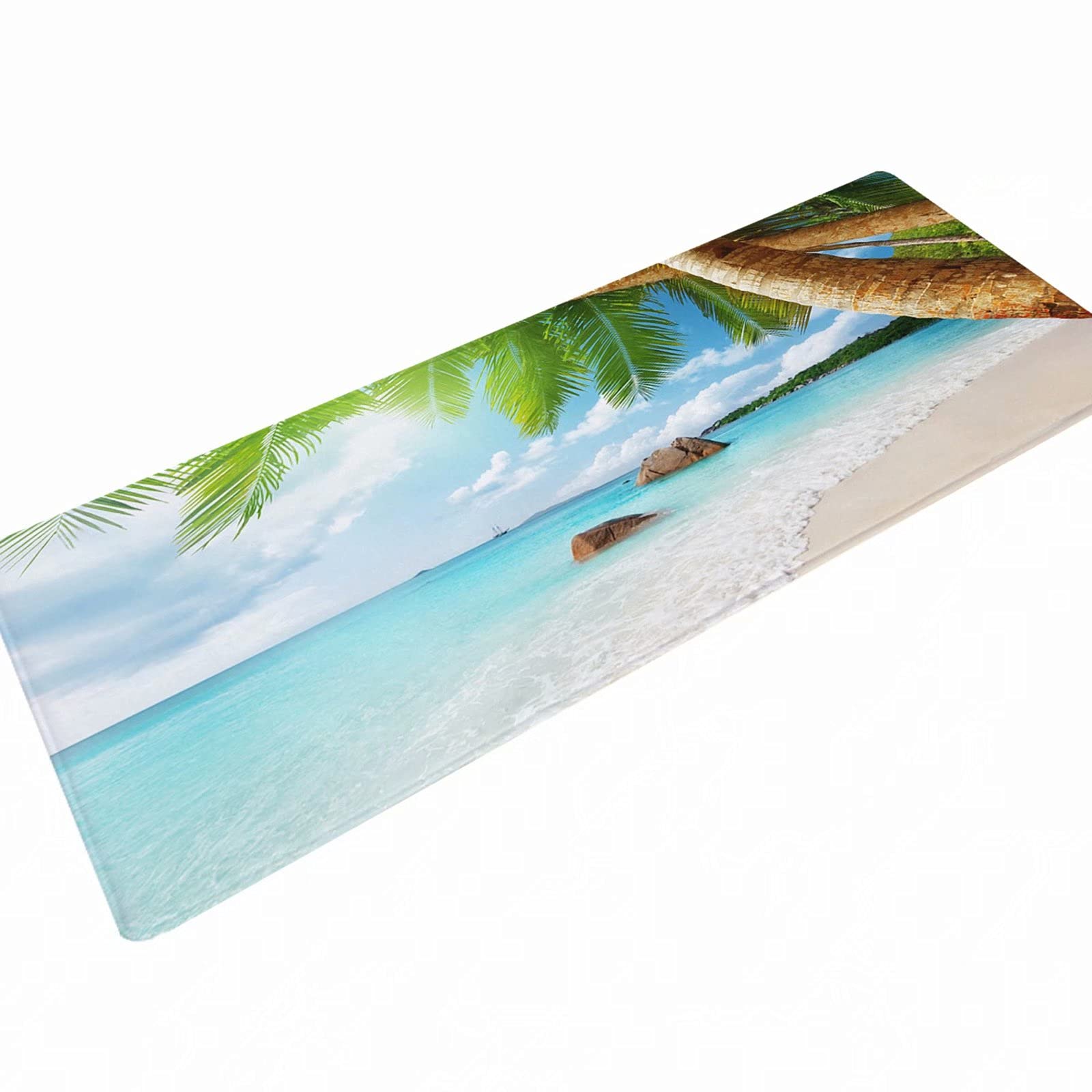Zerbino per interni con fondo assorbente e neve magica per interni sporchi, tappeto d'ingresso a basso profilo, lavabile in lavatrice, Palm Beach, 40,7 x 47,2 cm