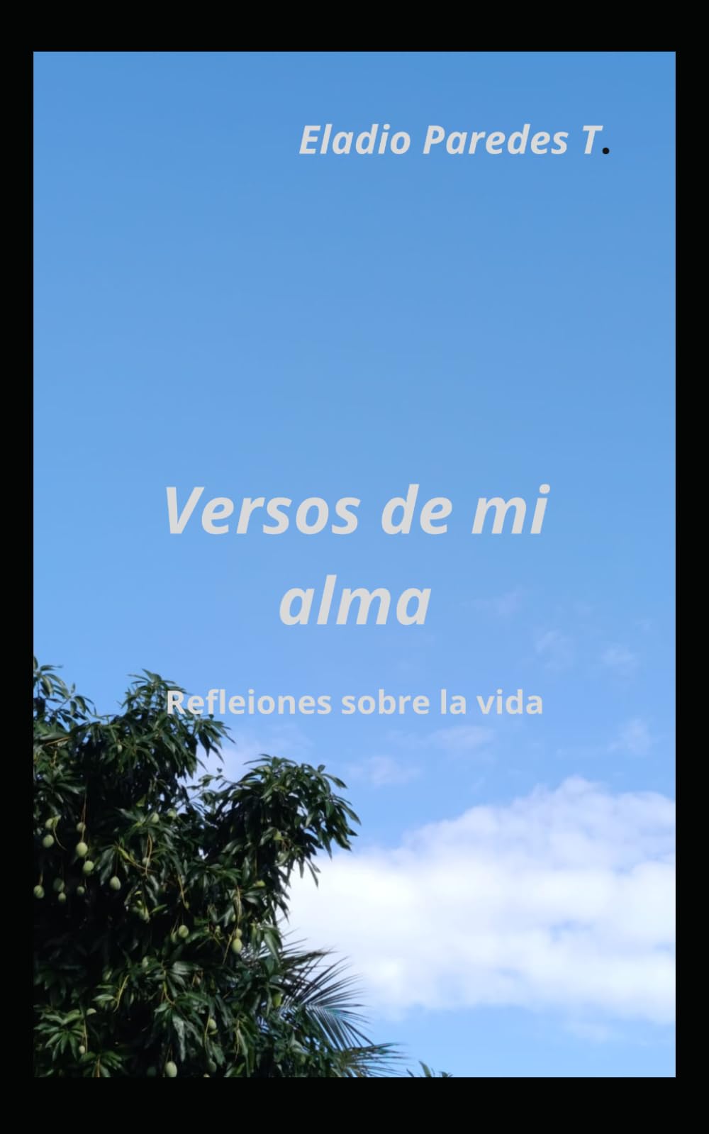 Versos de mi alma: Reflexiones sobre la vida