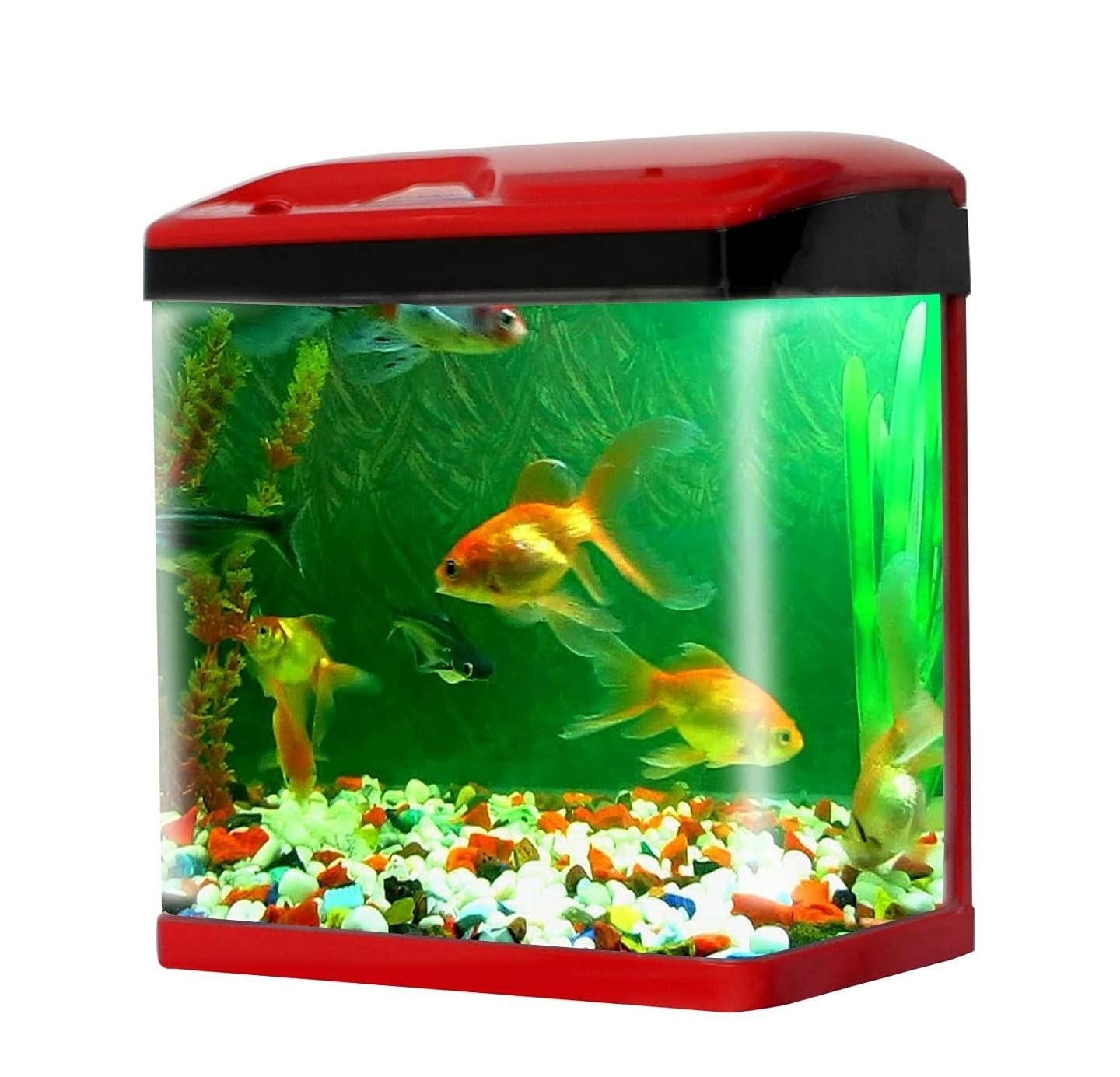 SOBO Aquarium TANK-300F- 15 Litre Aquarium Tank Includes:Aquarium Tank LED Light, External Filter with Pump,1-Plastic Plant,1-Background,Syphon Pipe and White Sponge Filter ROLL (B09GG8DCZB) Amazon Price History, Amazon Price Tracker