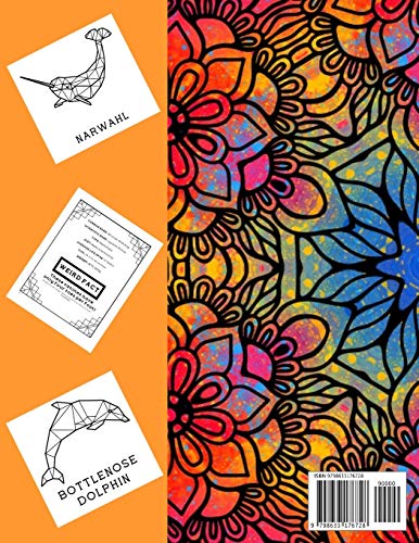 Fun Colors Cool Facts Activity Coloring Book For Kids Ages 8-12: Large Size Animal Picture Illustrations Learning Crafts Workbook for Boys, Girls, Toddler, Games and Gift For Birthday image 4