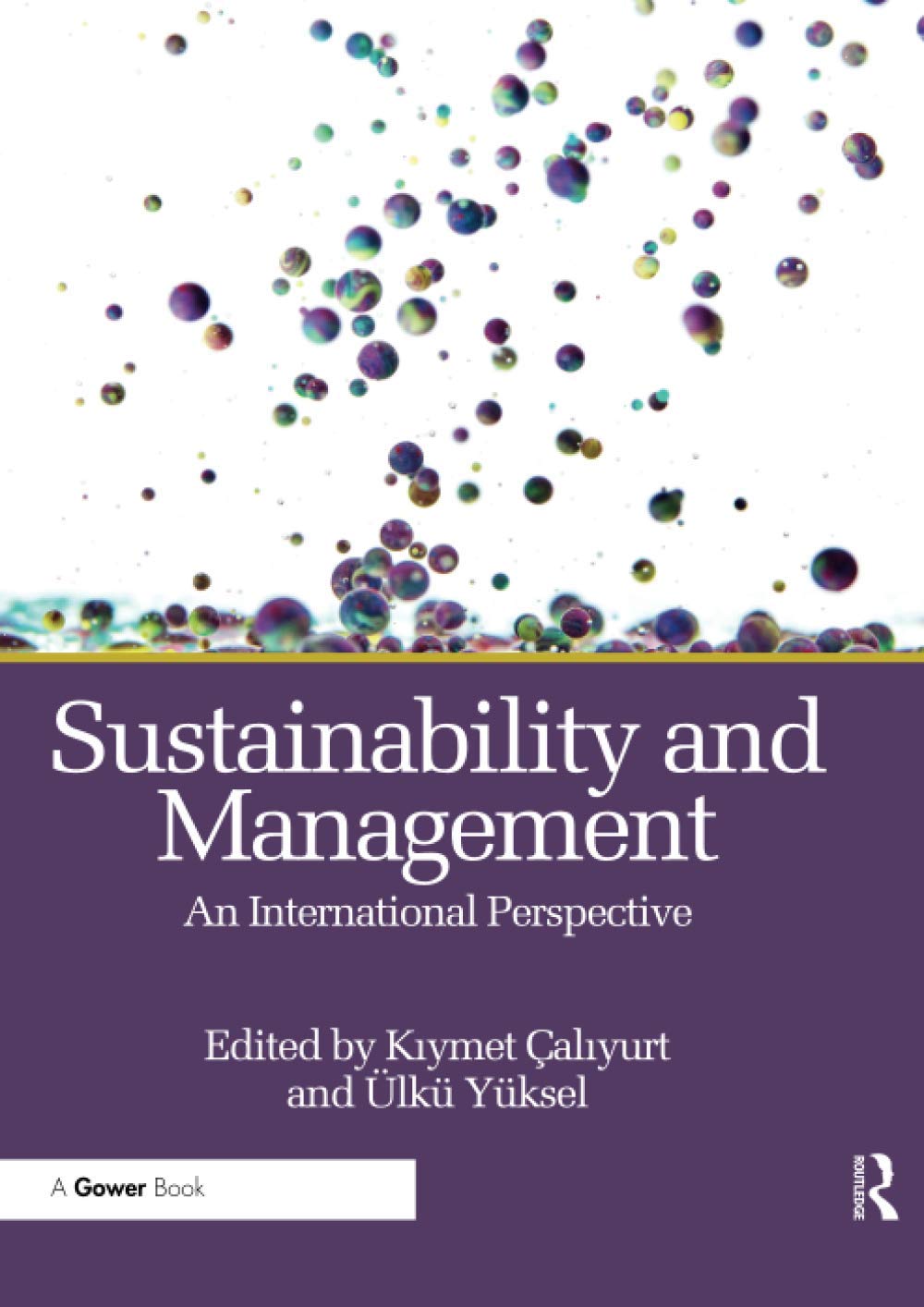 Sustainability and Management: An International Perspective
