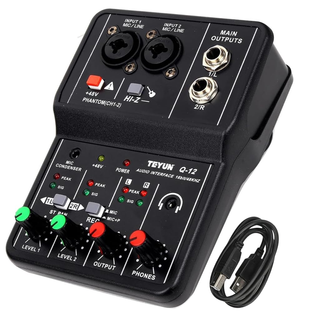 TECHBLAZE Q12 2-Channel Mini Audio Mixer with USB Audio Interface, 48V Phantom Power, Mono/Stereo Sound Card Console for Recording Studio, Karaoke, Computer Singing & Live Streaming