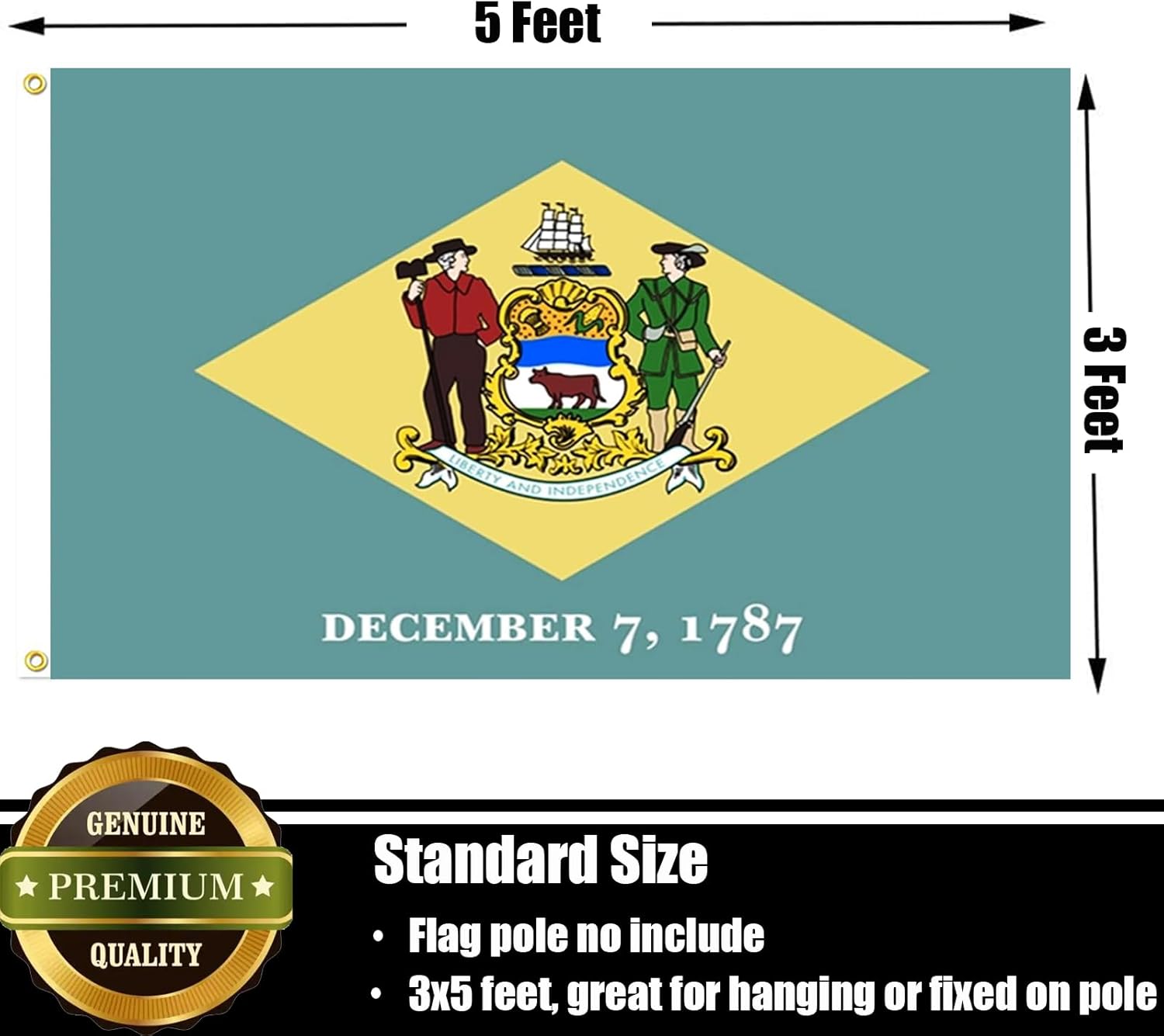 Delaware Flag 3x5 FT Sturdy for Outside, Heavy Duty 3Ply Polyester Delaware State Flags Outdoor, Double Sided Long Lasting DE State Flag Brass Grommets - Image 6