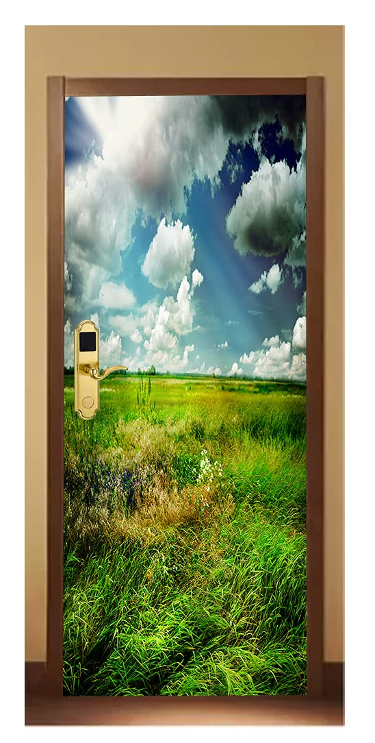 ALL YOUR DESIGN Decorative Door Wallpaper Wall Poster for Home, Office, Kitchen, Living Room, Bedroom Doors etc(Size-30x78 inch)_16 (Design 02) (B0C6QJ3G7X) Amazon Price History, Amazon Price Tracker