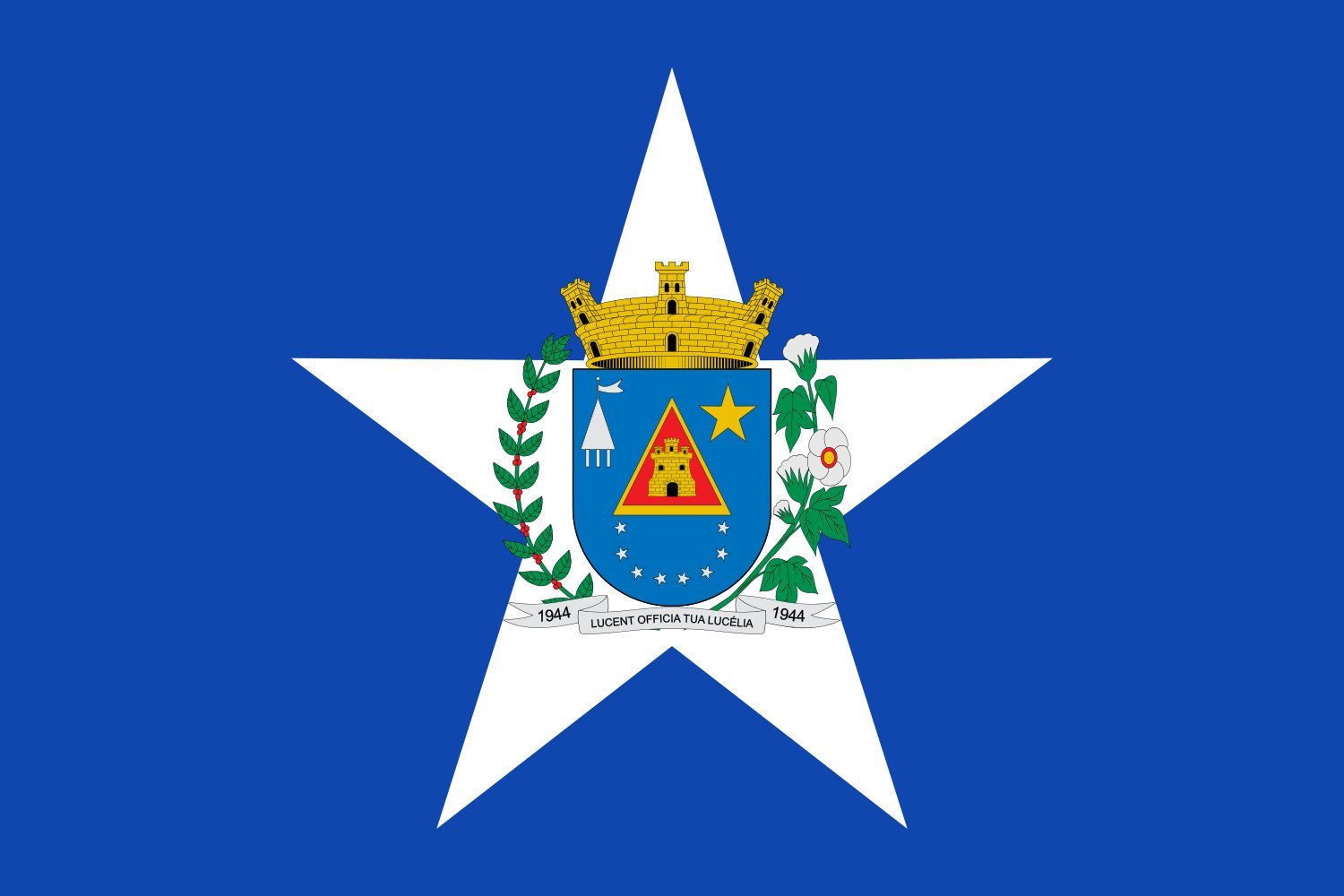 Drapeau large Lucélia SP pavillon de municipalité pour mât public