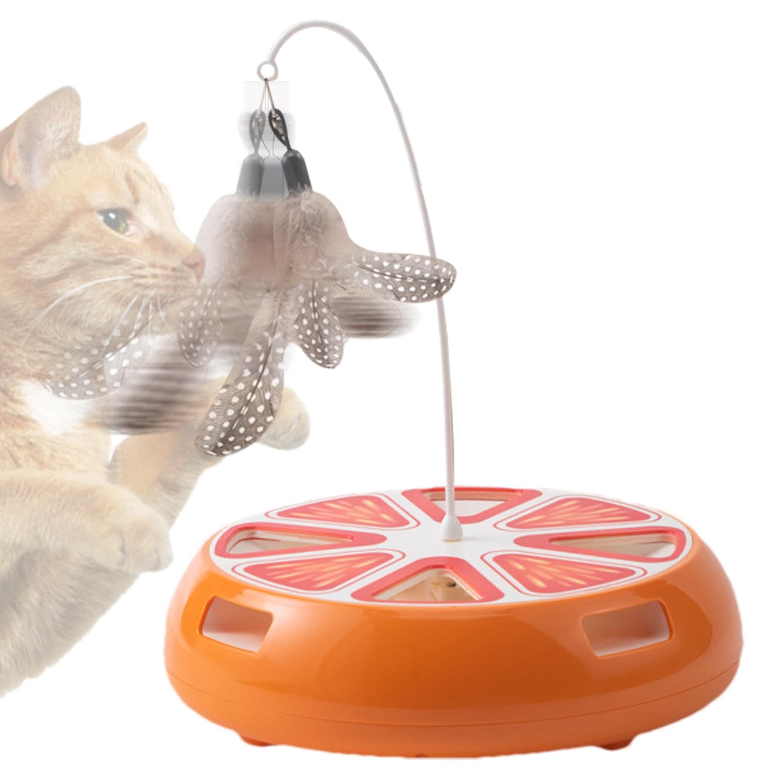 Jouet interactif pour chat d'intérieur, le plateau idéal pour occuper votre animal dans le salon