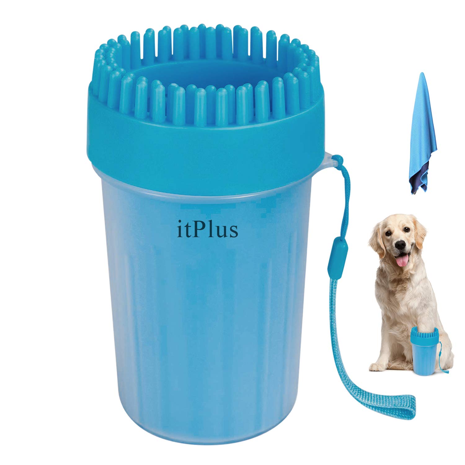 What Can I Rub My Dogs Paws With