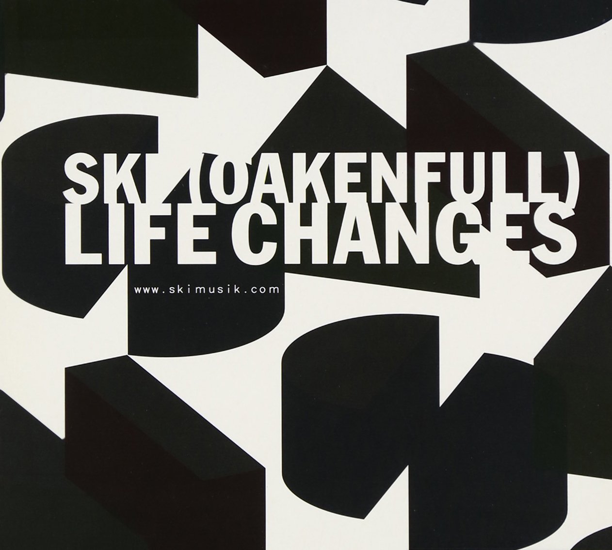 Life Changes [Audio CD] Oakenfull, Ski
