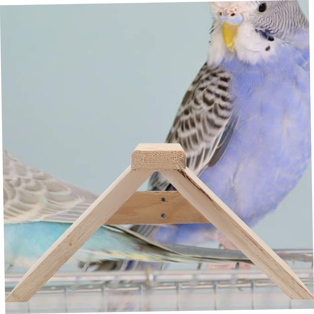 ifundom Soporte De Madera para Aves Multifuncional, Percha Natural De 5 Piezas, Soporte Seguro para Loros y Aves Pequeñas, Adecuado para Suministros De Mascotas y Gallineros