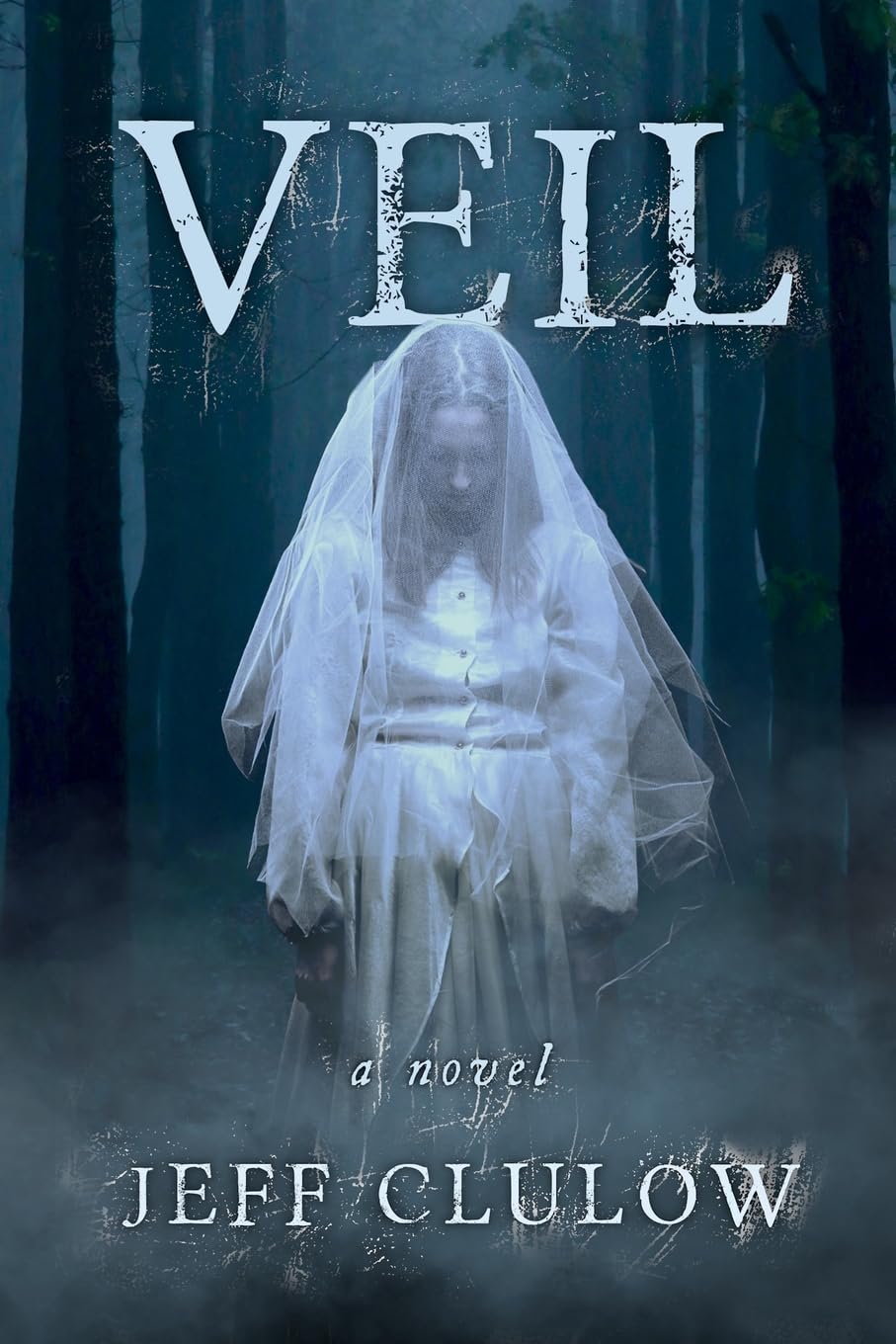 Veil: a novel